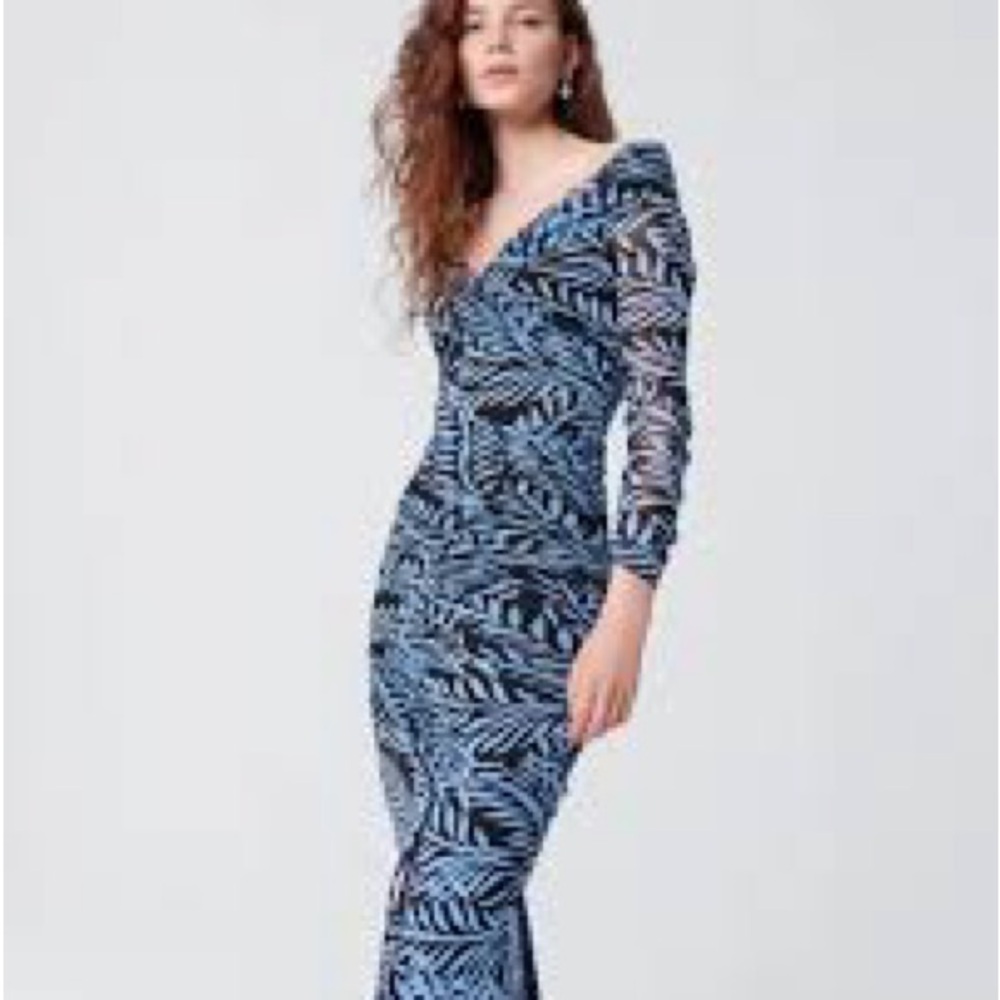 Diane Von Furstenberg Ganesa Dress